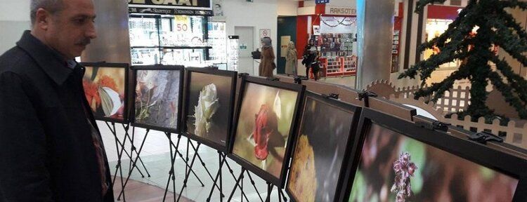 Kavuş'tan "sonbahar renkleri"