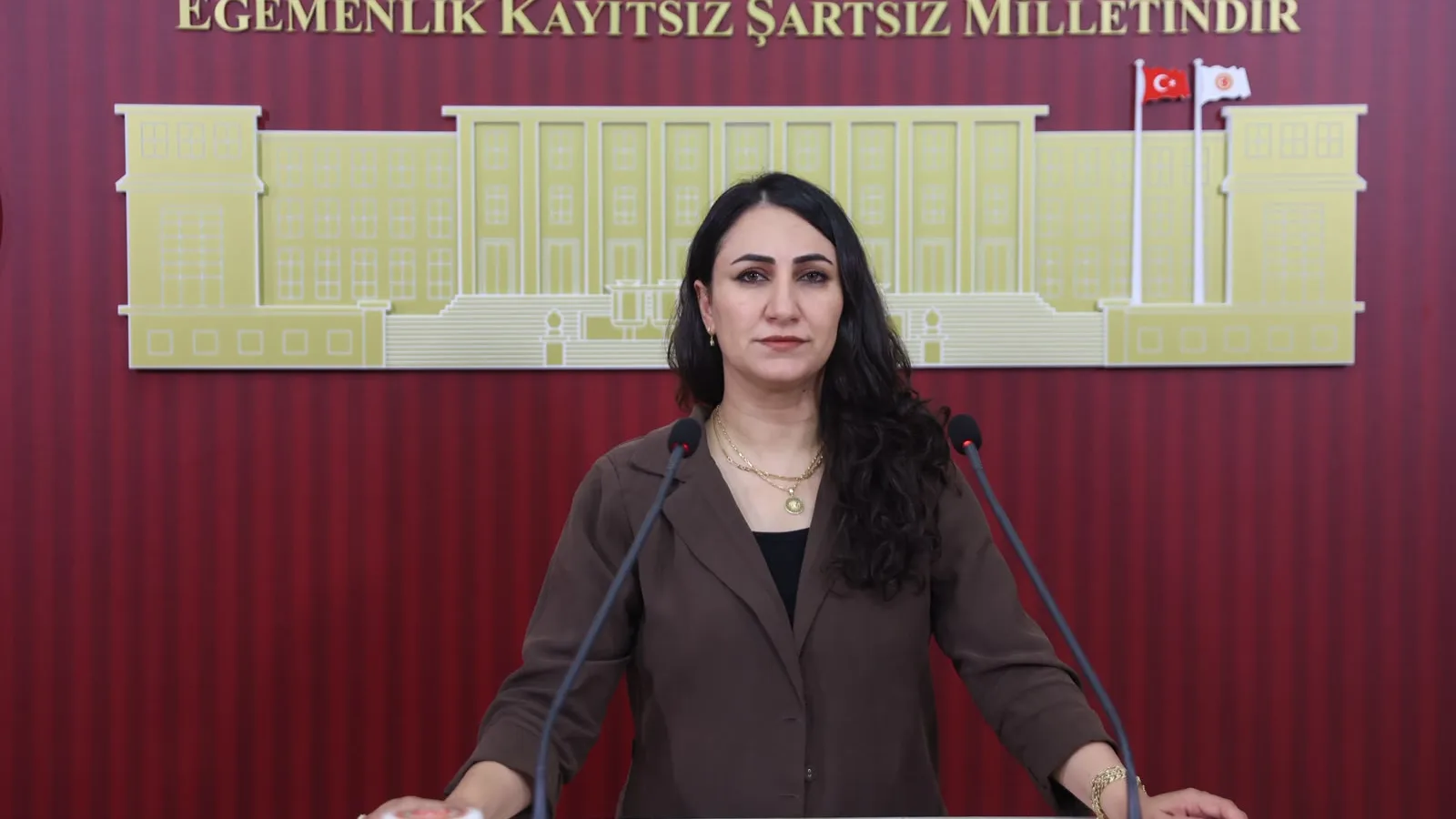 Oduncu, Gaziler-1 petrol sahasını Meclis gündemine taşıdı