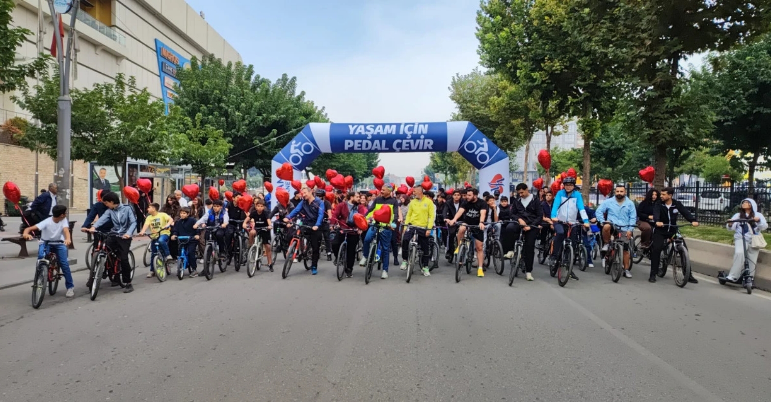 PEDAL2.jpg